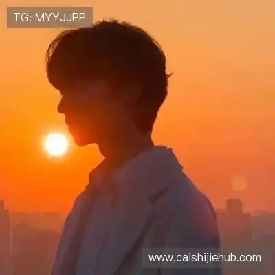 卫昭桥